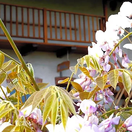 Bed & Breakfast Al Rudun