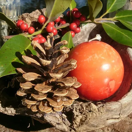 Al Rudun Bed & Breakfast Boves