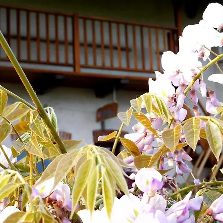 Bed & Breakfast Al Rudun 3*