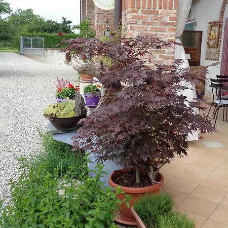 Bed & Breakfast Al Rudun