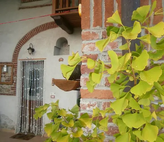 Bed and breakfast Al Rudun