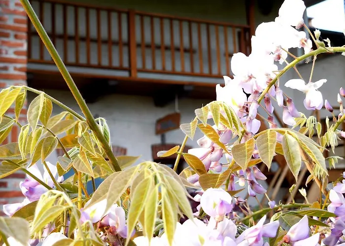 Bed and breakfast Al Rudun 3*